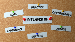 A corkboard of slips of paper with various words describing an internship