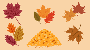 An image of fall foliage