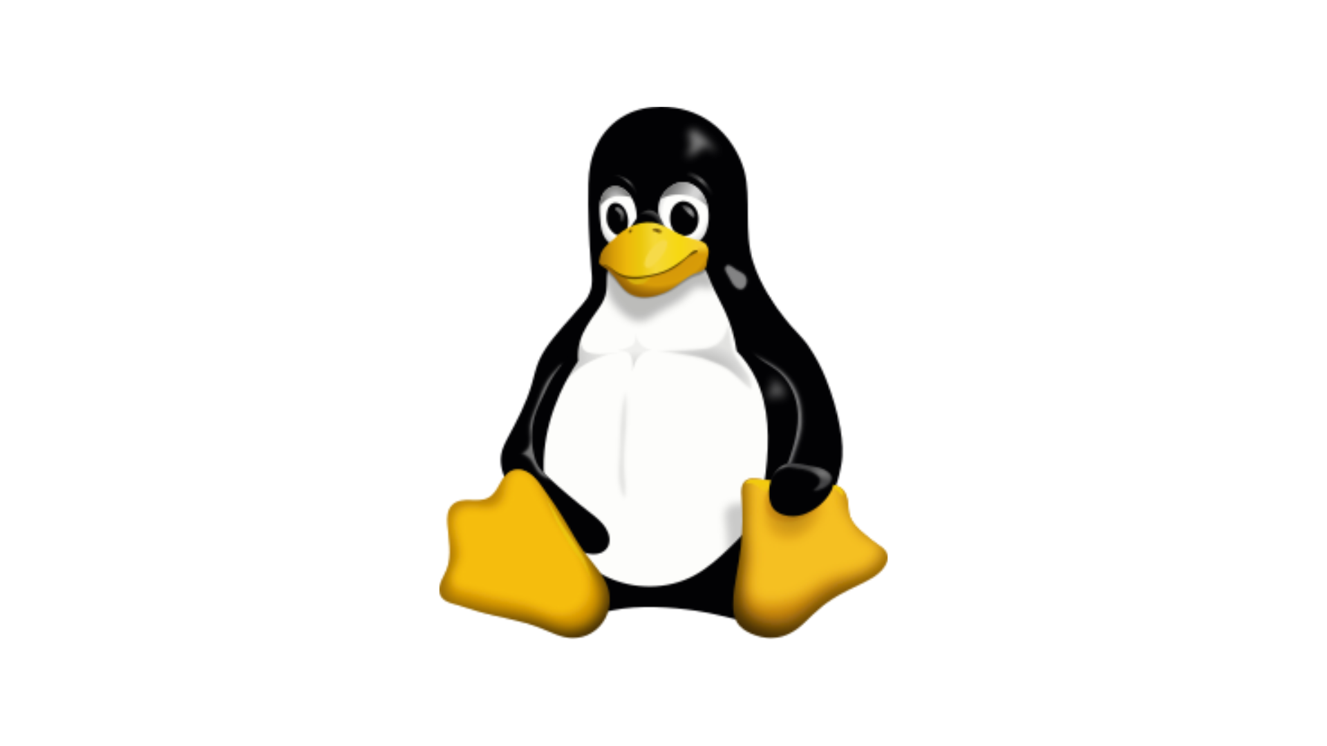 Tux, the penguin mascot for Linux